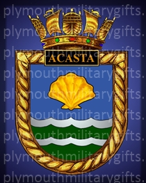 HMS Acasta Magnet